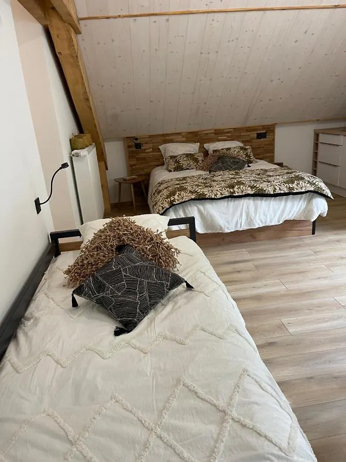 Chambres D'Hotes Les Chambres D'Elsa Альбье-Монрон Франция